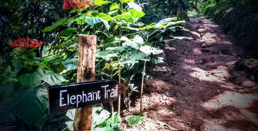 Mekong Elephant Park for Education